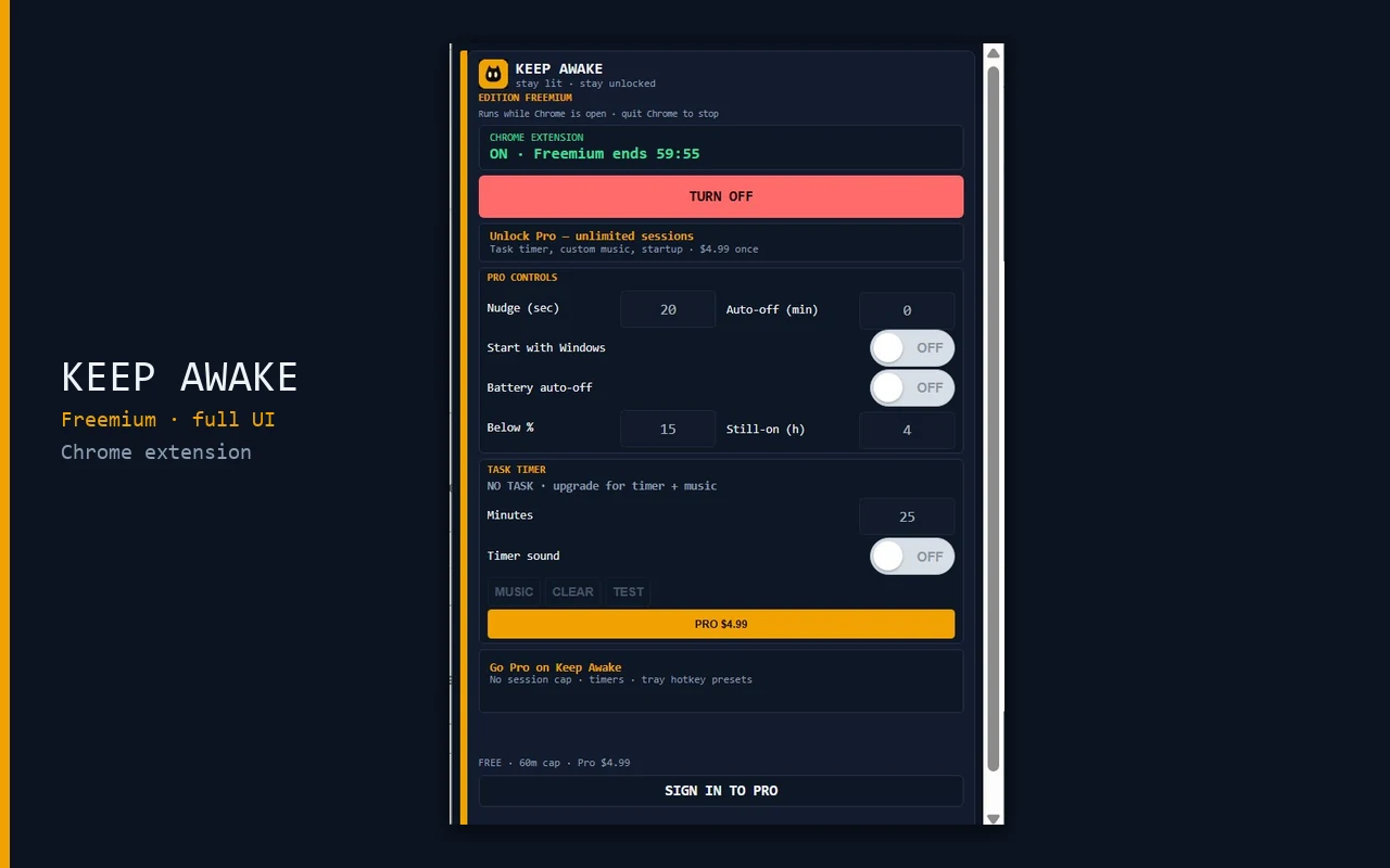 Chrome Extensions demo preview